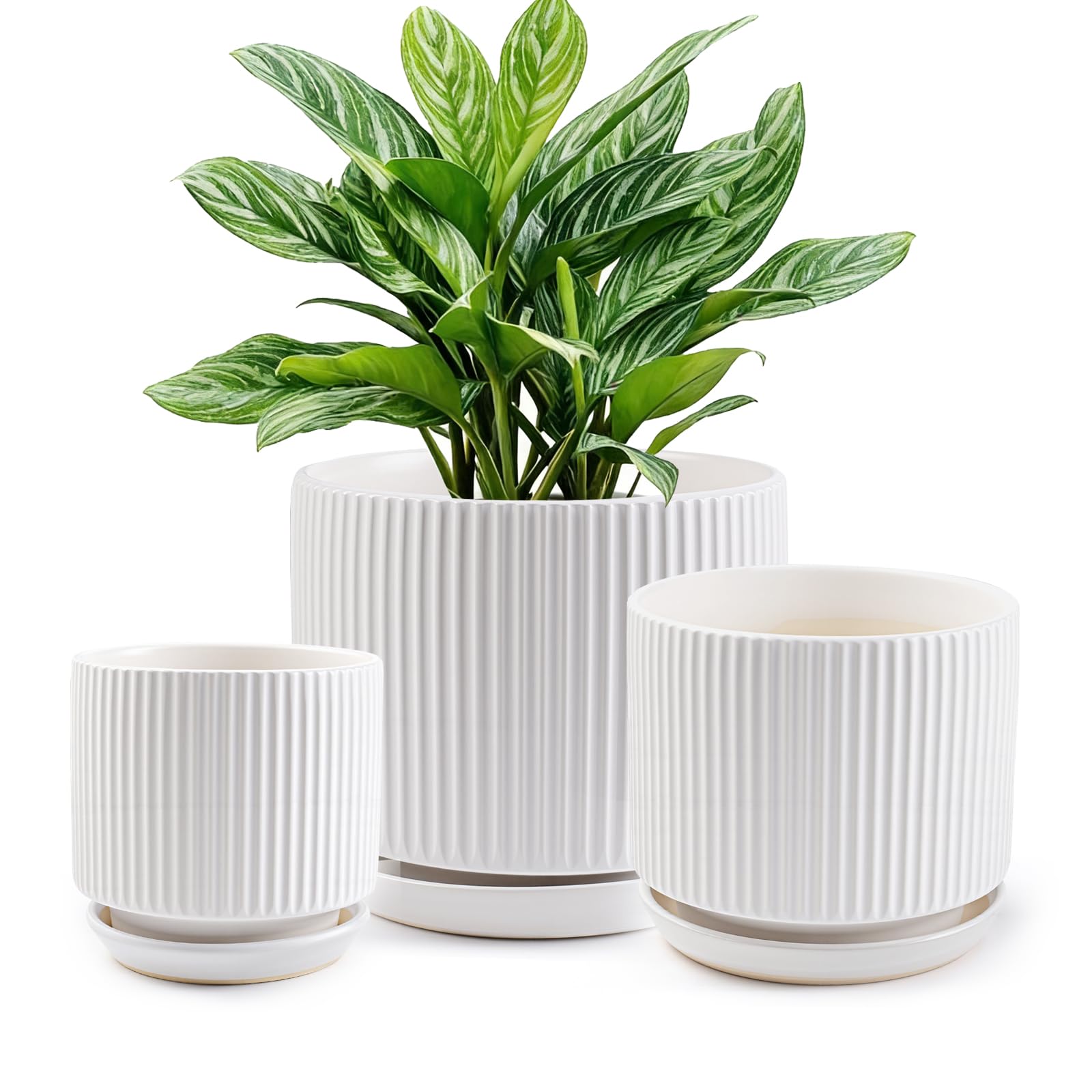 Pots de fleurs en céramique à rayures verticales blanches et soucoupe