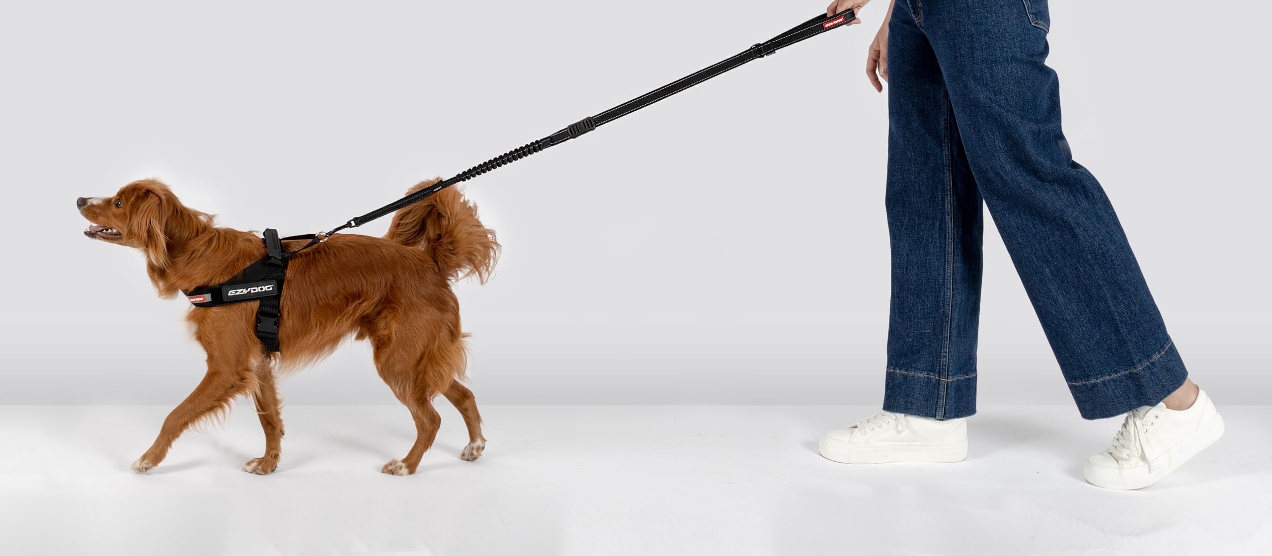 EZYDOG エクスプレスハーネス XL グリーンカモフラージュ Amazon | [イージードッグ] 正規代理店品］ エクスプレスハーネス XL