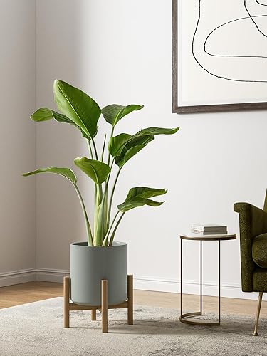 Miniatura 3 de LE TAUCI Macetas de cerámica para interiores, macetas de 10+8+6 pulgadas para plantas de interior, macetas modernas de mediados de siglo con