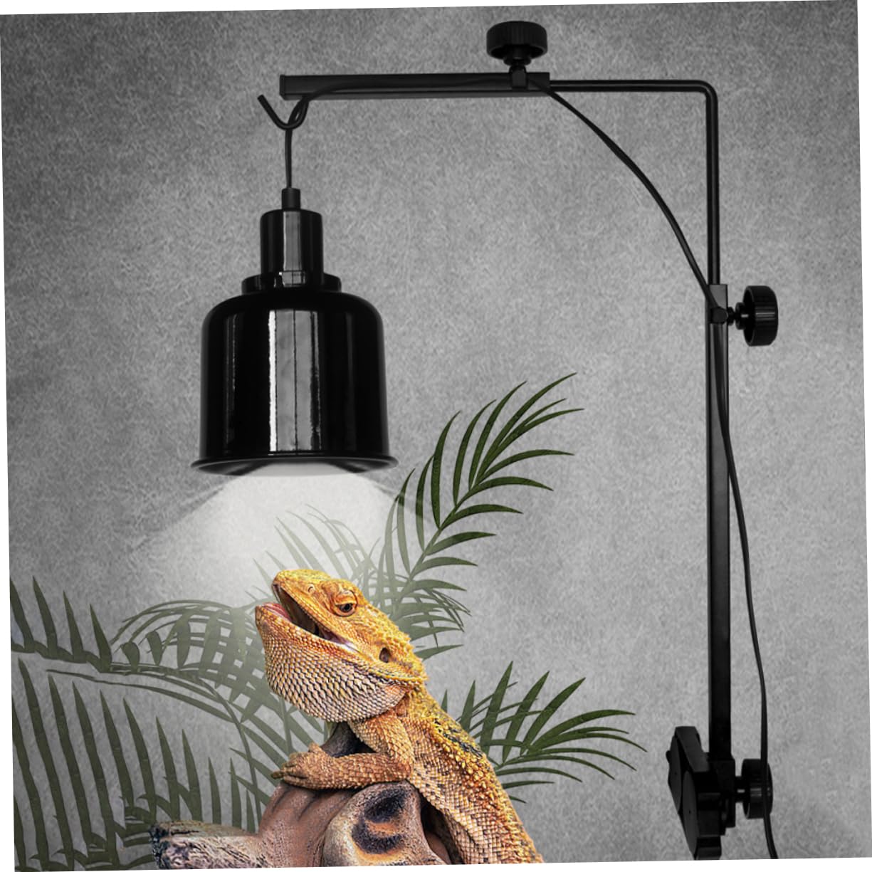 UKCOCO per Rettili per Acquari per Lampade Riscaldamento per Tartarughe Decorativi e Utilizzo Versatile