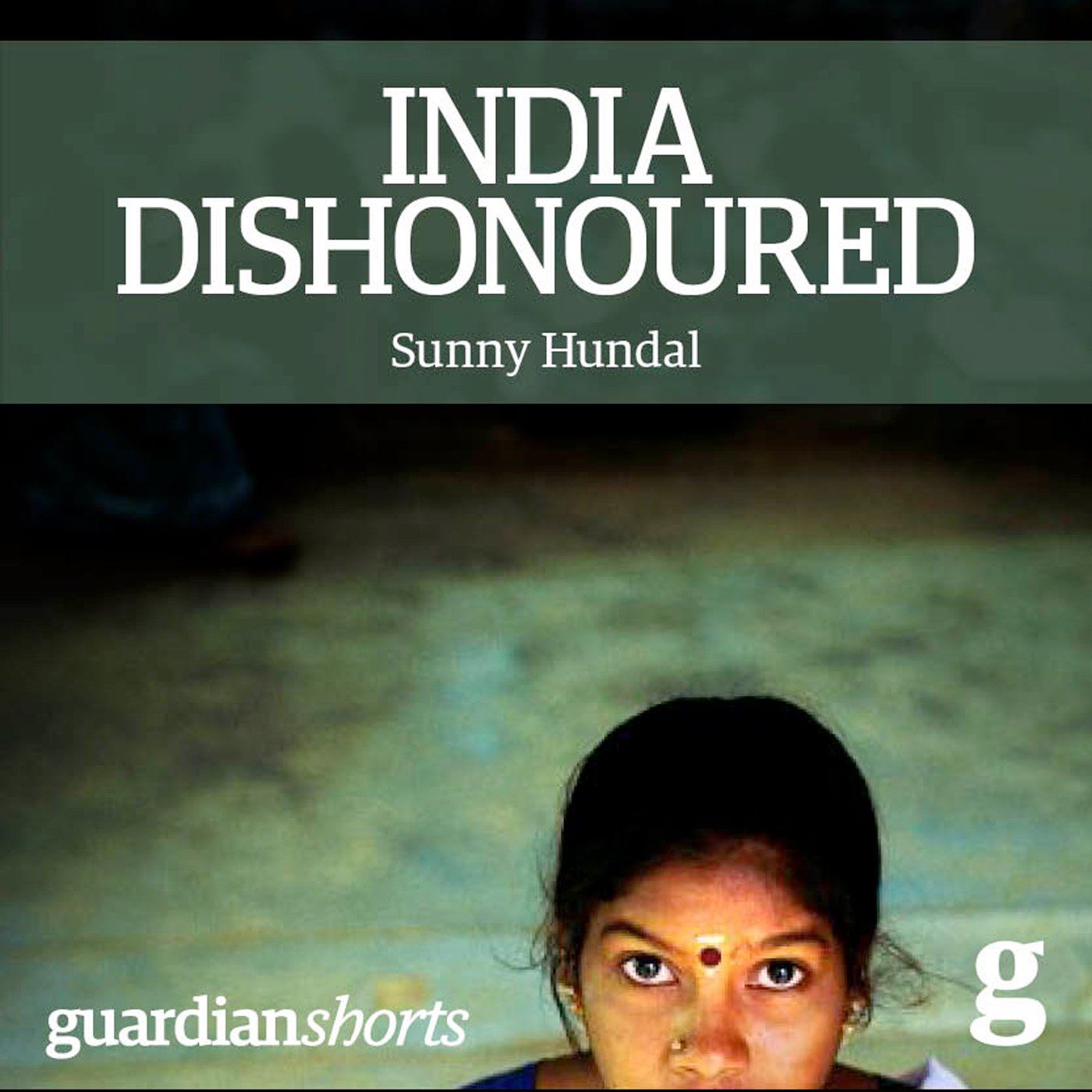 Cover art for India Dishonoured