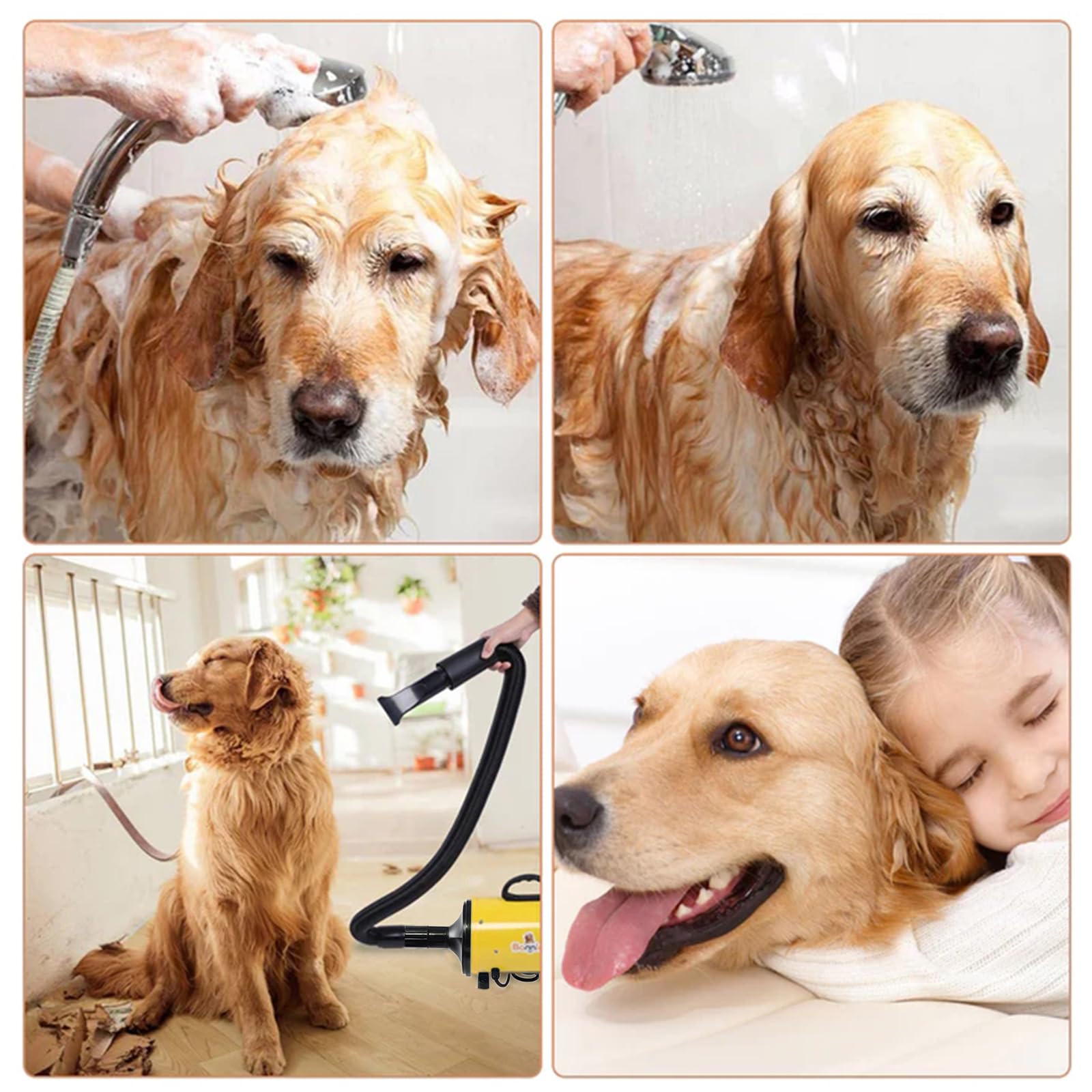 Pulsore per cani, 2800 W, essiccatore professionale per animali con temperatura regolabile e 4 ugelli (giallo)