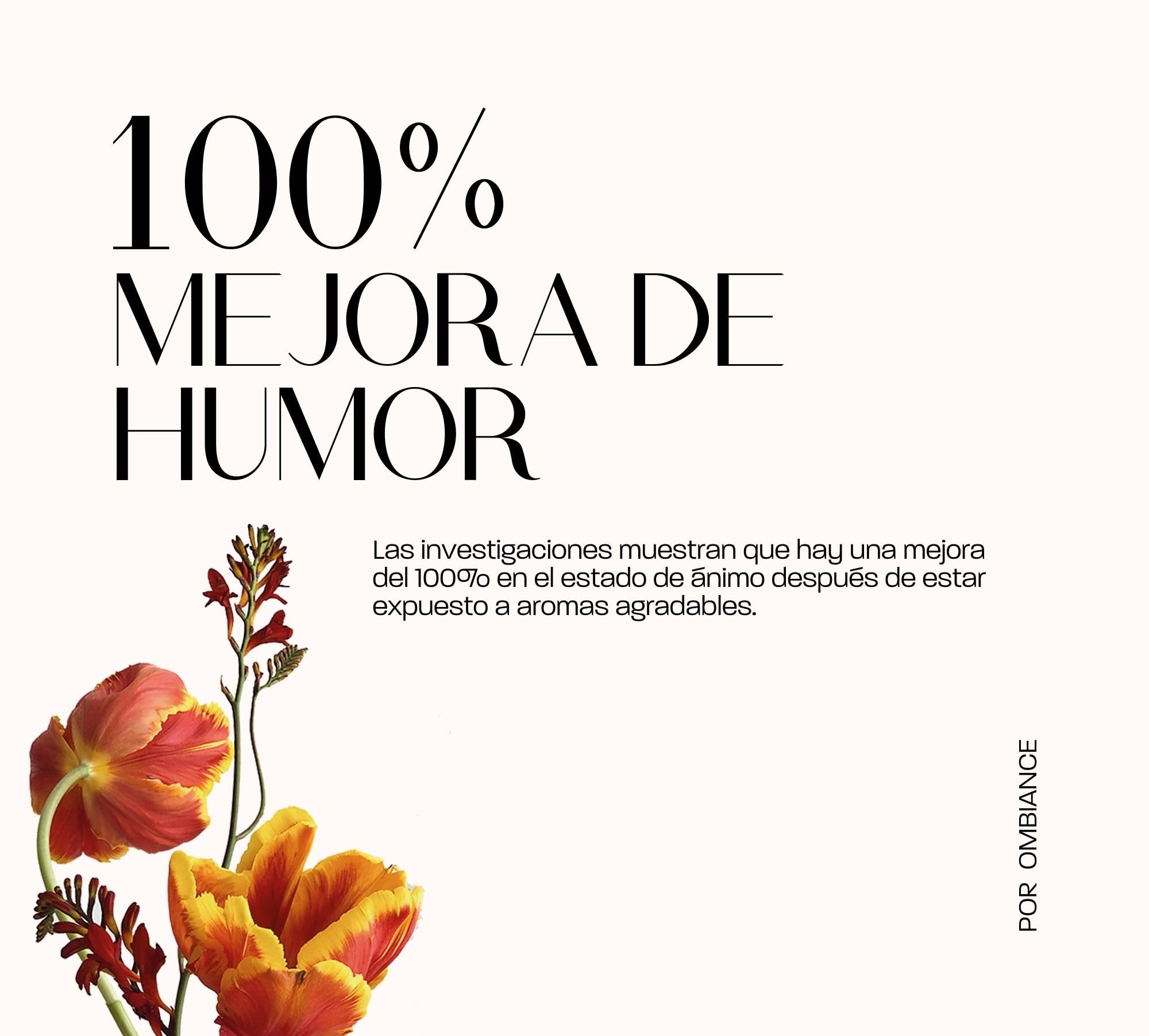 Difusor de Aromas y Aceites Esenciales Profesional | Controlado por Aplicación | Humidificador y Purificador Aire | Absorbe Olores | Regalo Ideal, Negro, 300m3, Aluminio