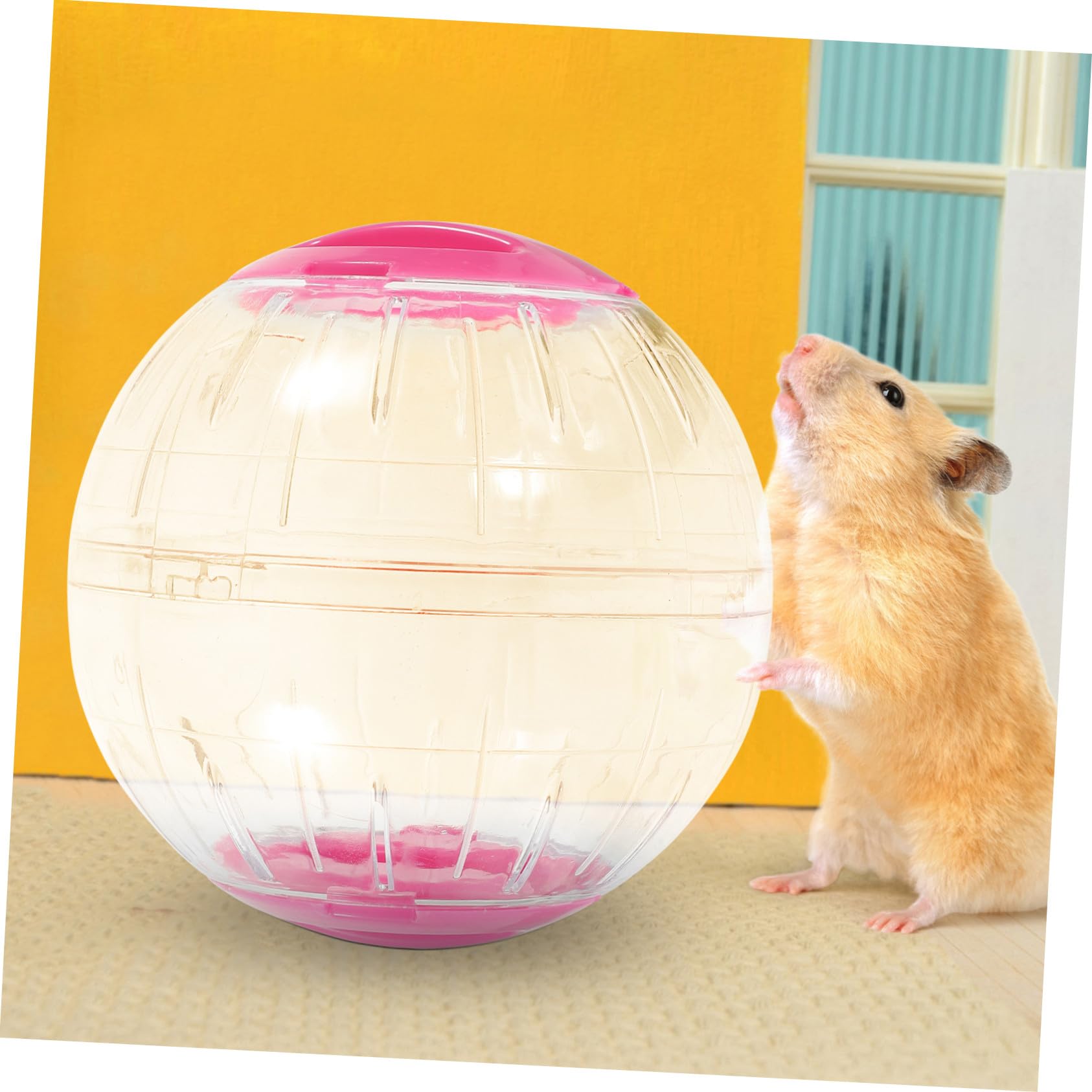 KOMBIUDA 4 Pièces Balle Exercice Transparente pour Hamster Lot de Roue Silencieuse Portable pour Petits Rongeurs Léger pour Souris Gerbille et Cochon d'Inde