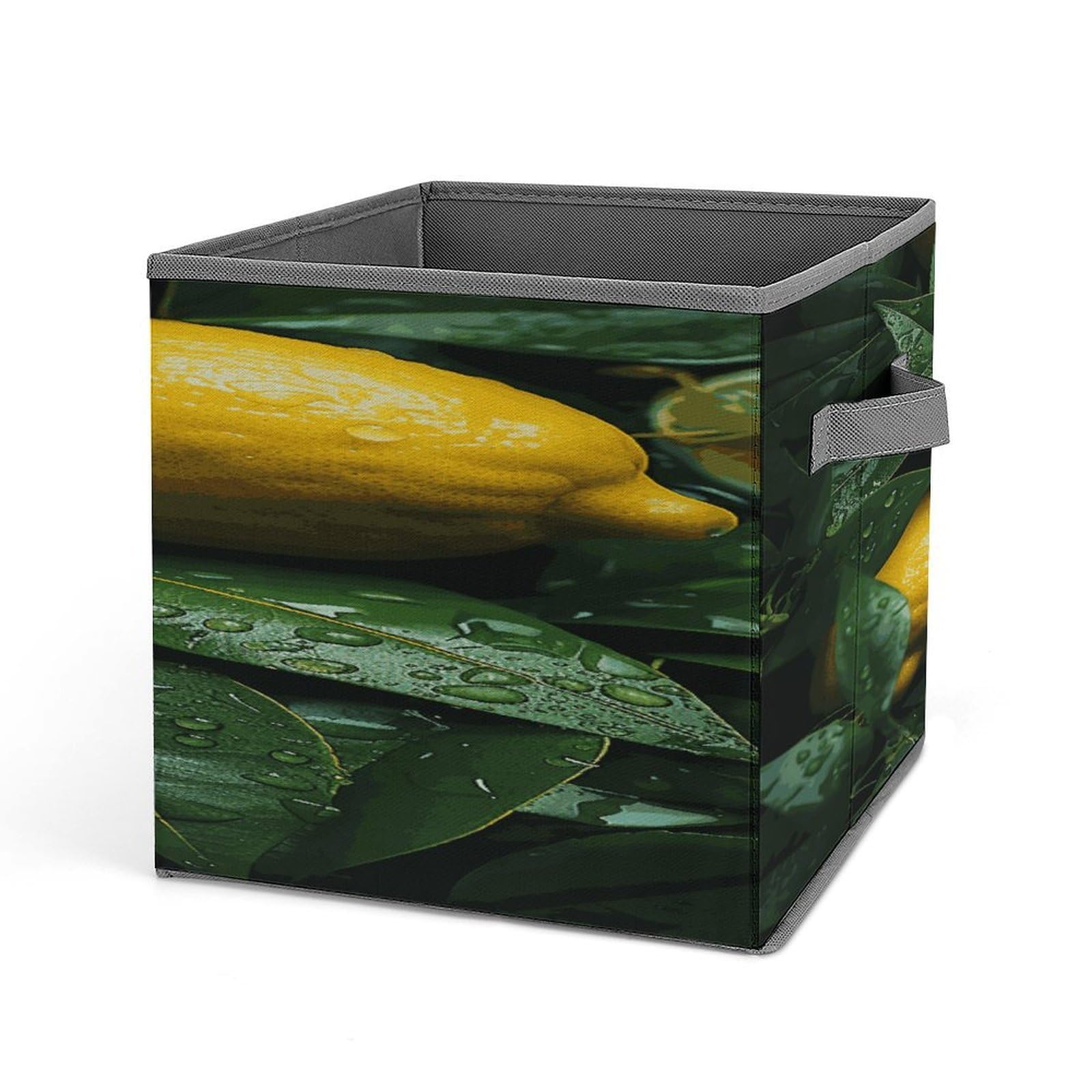 Fekiloot Style Fresh Lemon Storage Bins Storage Baskets