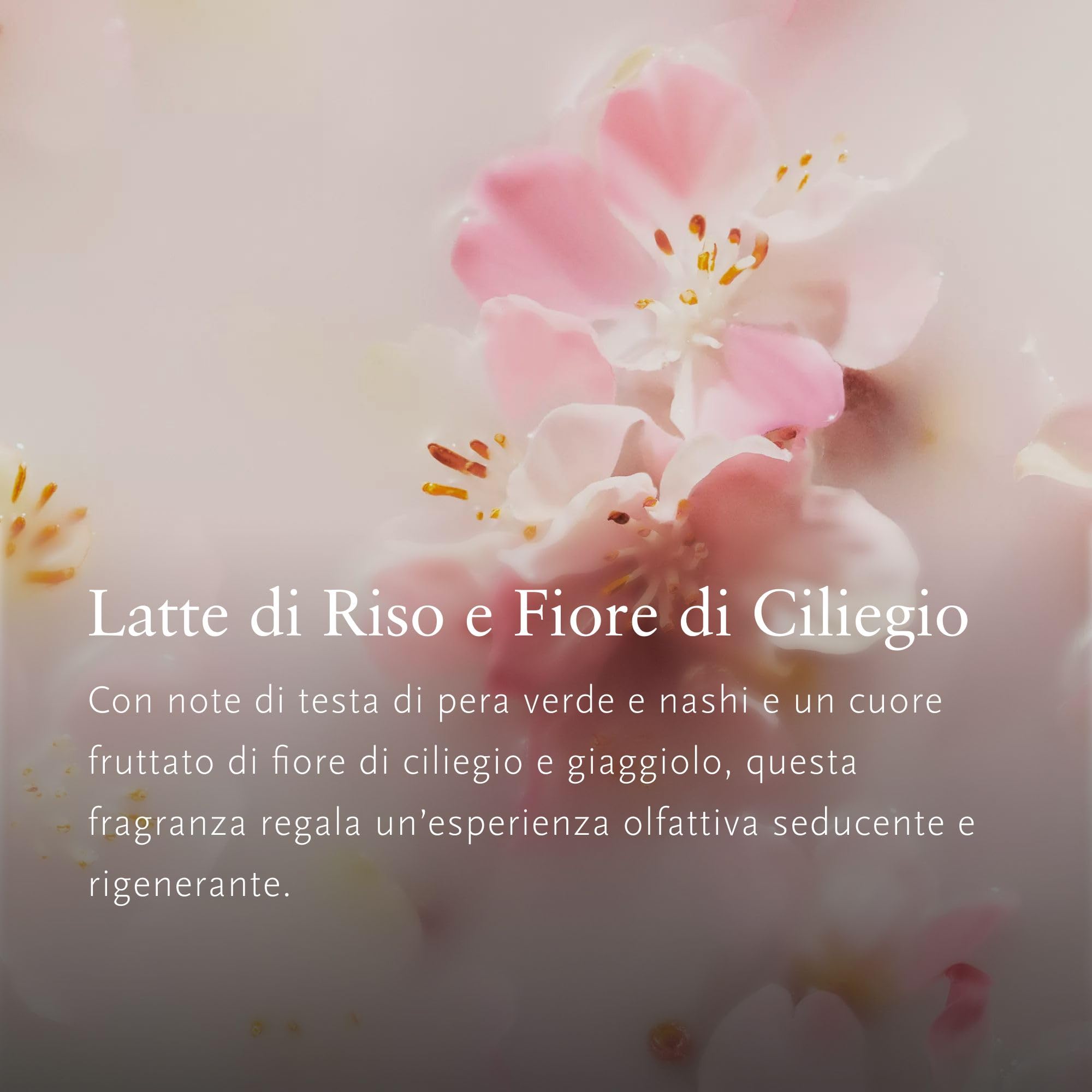RITUALS Cofanetto regalo donna The Ritual of Sakura, Large – Set regalo donna con prodotti per la cura del corpo – Set bagno nutriente arricchito con latte di riso e fiore di ciliegio