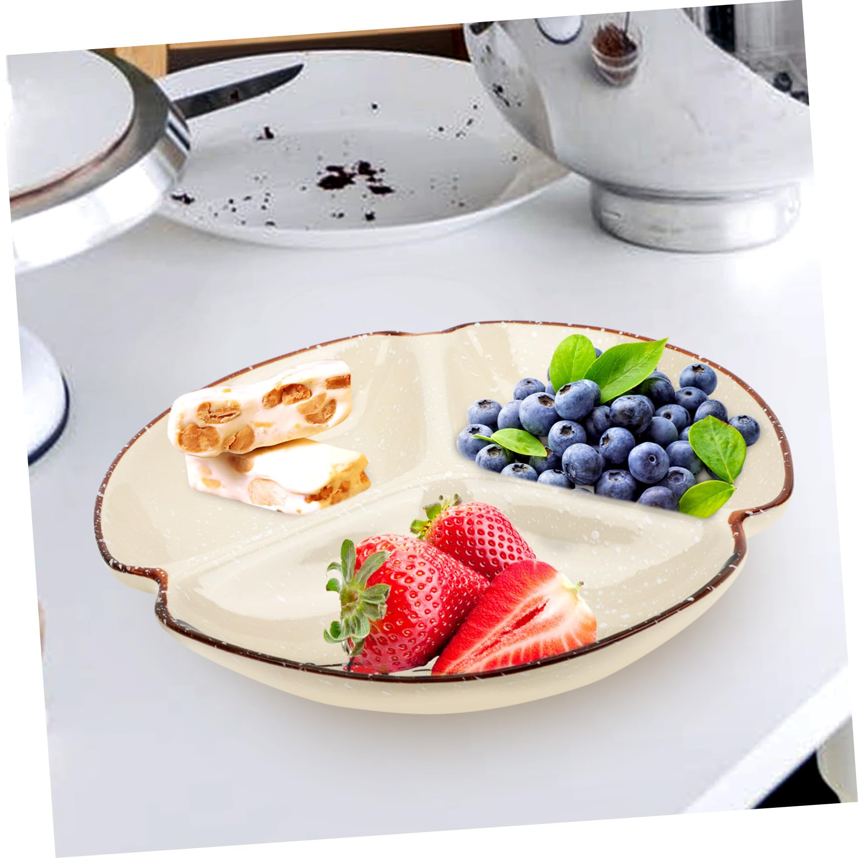 Assiette Divisée Céramique Plateau Multi-compartiments pour Snacks et Fruits Plateau Portion Contrôle pour Usage Domestique et Hôtelier Surface Lisse