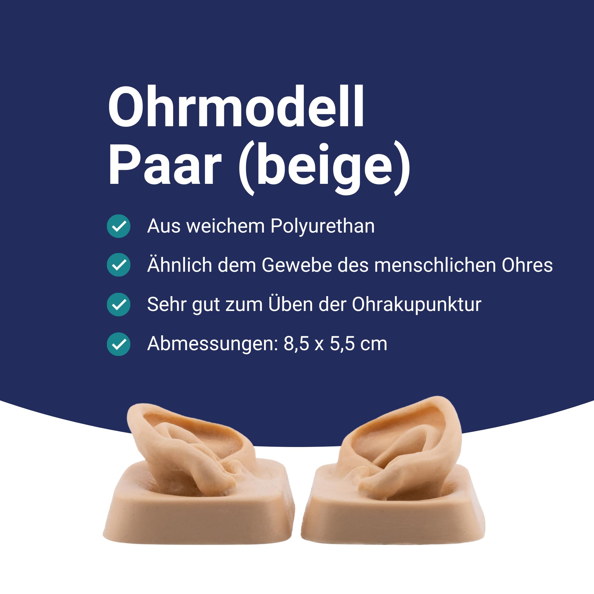 Ohrmodell (Paar) für Ohrakupunktur aus weichem Kunststoff in Originalgröße - Leonidov
