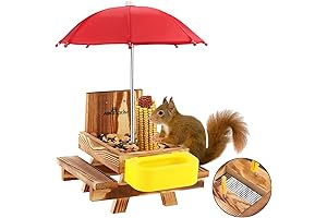 Mixxidea Squirrel Picnic Table with Umbrella and Water Bowl