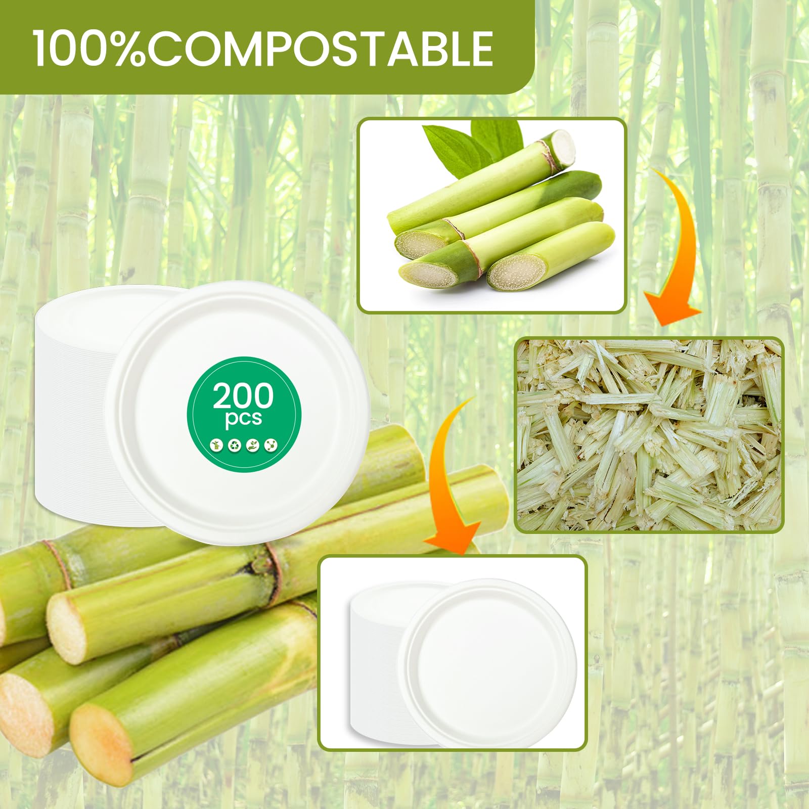 200 piatti di carta, 22,9 cm, biodegradabili e compostabili, ecologici, resistenti, riciclabili, perfetti per pic-nic, barbecue