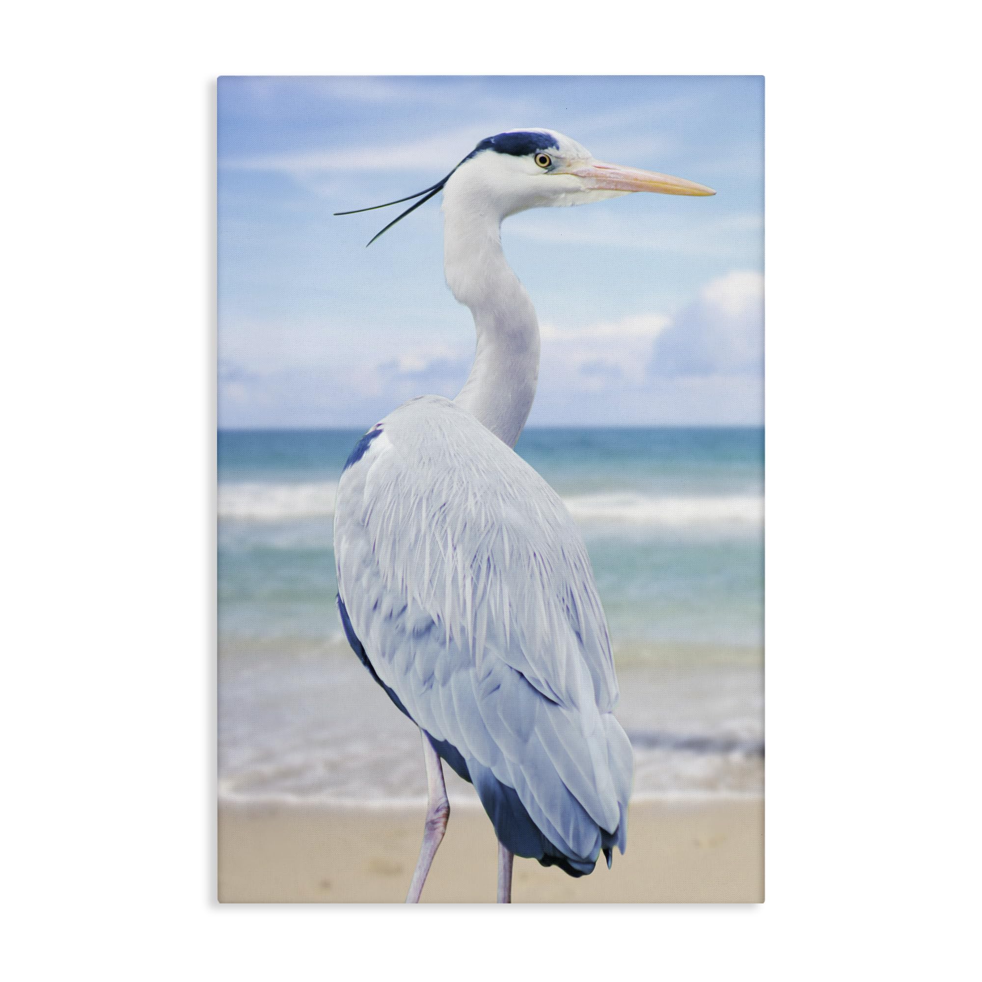 Stupell Industries 'Vacationing Heron by Seaside', Canvas Art, 20 x 30 Inches, Easy to Hang and Sturdy, Made in USA, by Marcus Prime