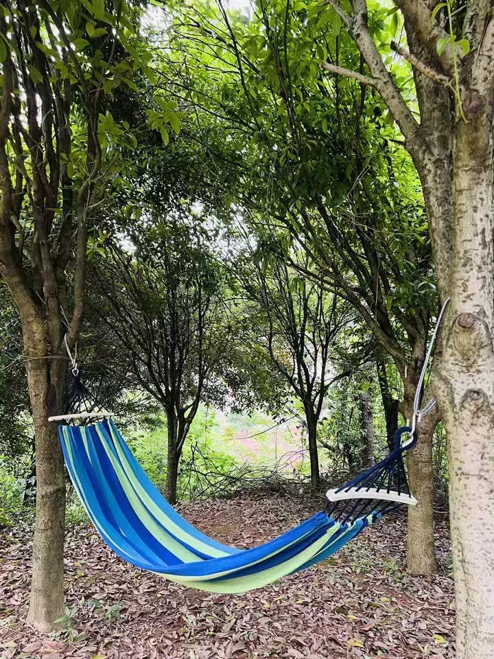 Portable Canvas Hammock, Multi-Color Striped, Indoor Outdoor Hanging Bed with Safety Guard (蓝色)