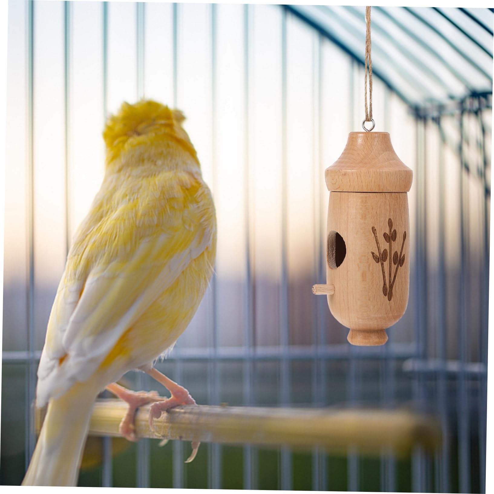 POPETPOP 4 Pz mangiatoia per uccelli mangiatoie per uccelli bird feeder abbeveratoio automatico mangiatoia per animali domestici contenitori piatto di cibo per uccelli da appendere in legno