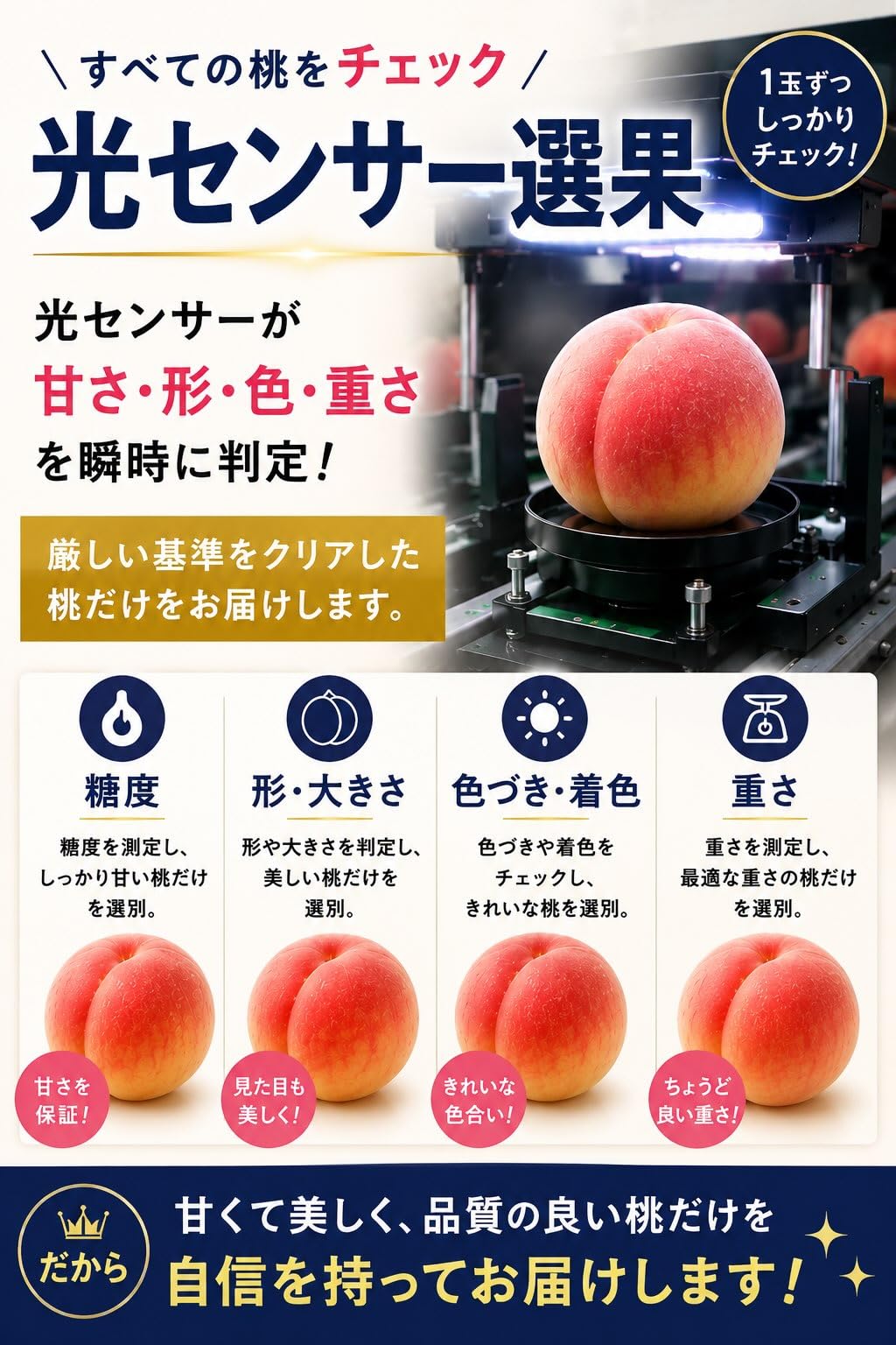 Amazon.co.jp: 【 極上お中元 特選桃 糖度15度 】大玉 4-6入 約1.8kg