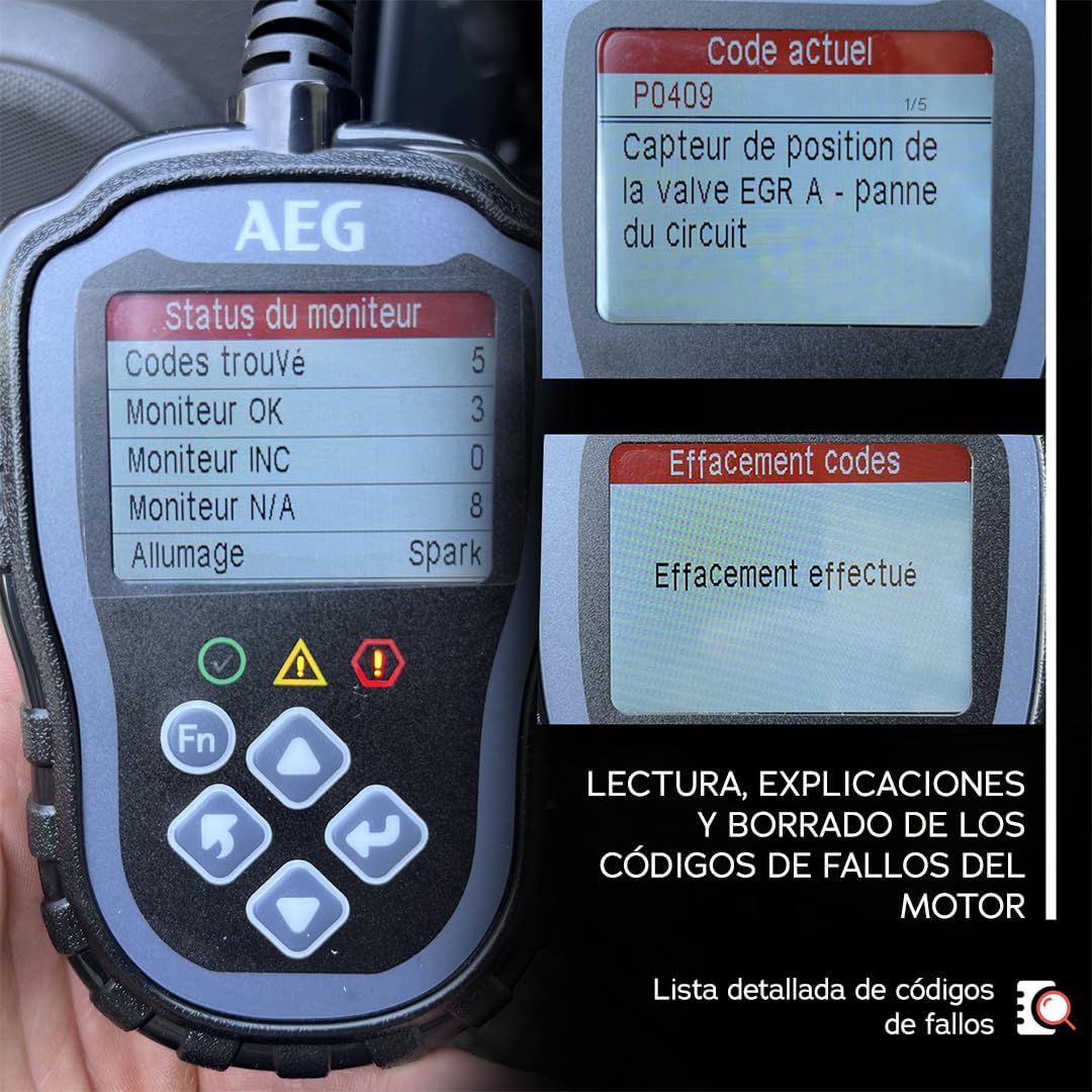 AEG 005073 OBD2 Evol 2 screen showing fault code and erase confirmation