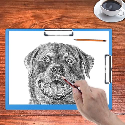 Miniatura 9 de Portapapeles de 11 x 17 pulgadas, doble clip, súper resistente, extra grande, no frágil, 11 x 17 pulgadas, clip de perfil bajo, plástico PP azul,