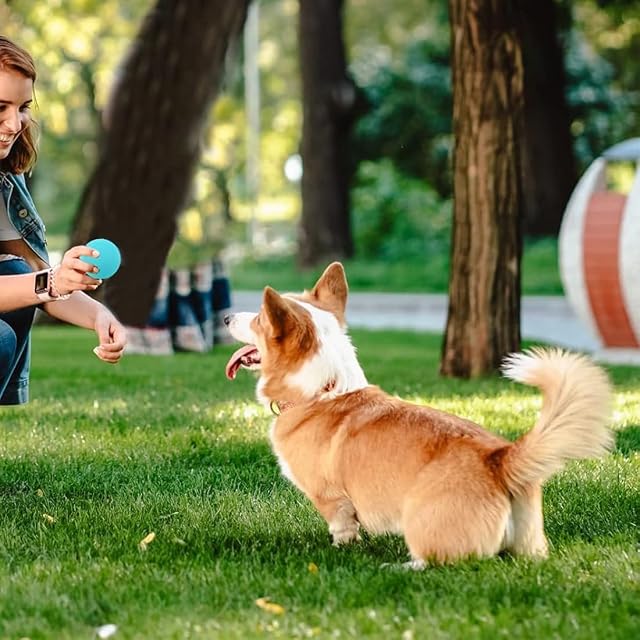 Foto 6 de 7 de Duoleimi Pelota para perros indestructible