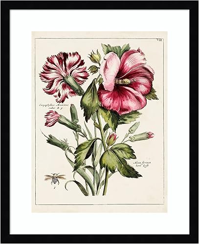 Amanti Art Framed Wall Art Print 21x17 Pink Hibiscus, Flowers Wall Art, Vintage Decor, Small Poster Painting Artwork for Living Room, Bedroom,
