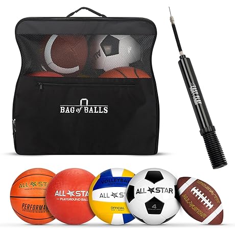 All-in-One Sports Ball Bonanza with Convenient Carry Bag