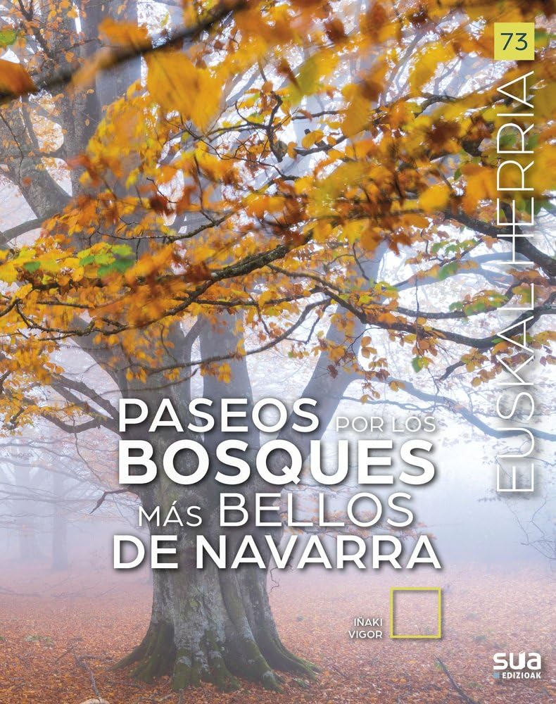 Paseos por los bosques más bellos de Navarra: 73 (Euskal Herria liburuak)