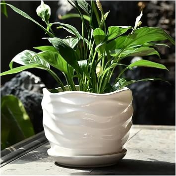 Flower Pots Ceramic White Wave Pattern Plant Pot with Tray, Medium, Indoor