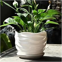 Flower Pots Ceramic White Wave Pattern Plant Pot with Tray, Medium, Indoor