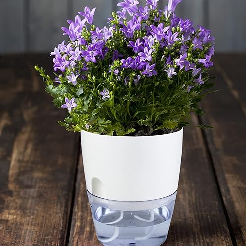 Miniatura 7 de 6 Inch Self Watering Planter,3 Pack Indoor Plants Flower Pots Outdoor with Wick Rope-White (White)