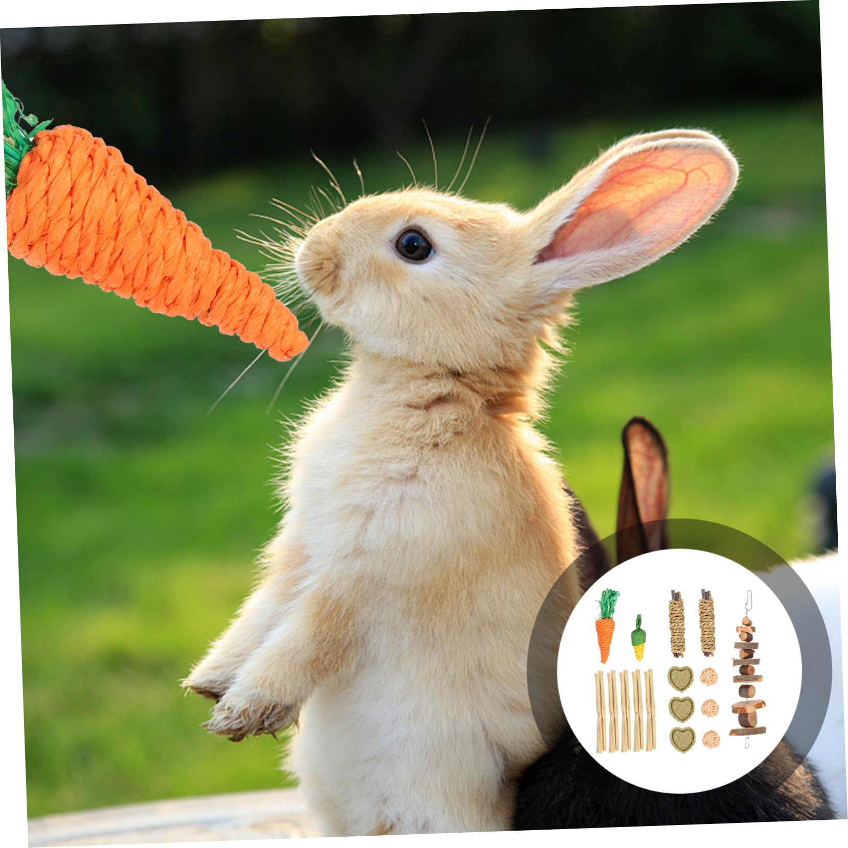 minkissy 2sätze Kleintier Spielzeugset Aus Holz Für Hamster Und Meerschweinchen Teiliges Kauspielzeug Mit Naturmaterialien Fördert Zahngesundheit Und Beschäftigung Für Kleine Haustiere