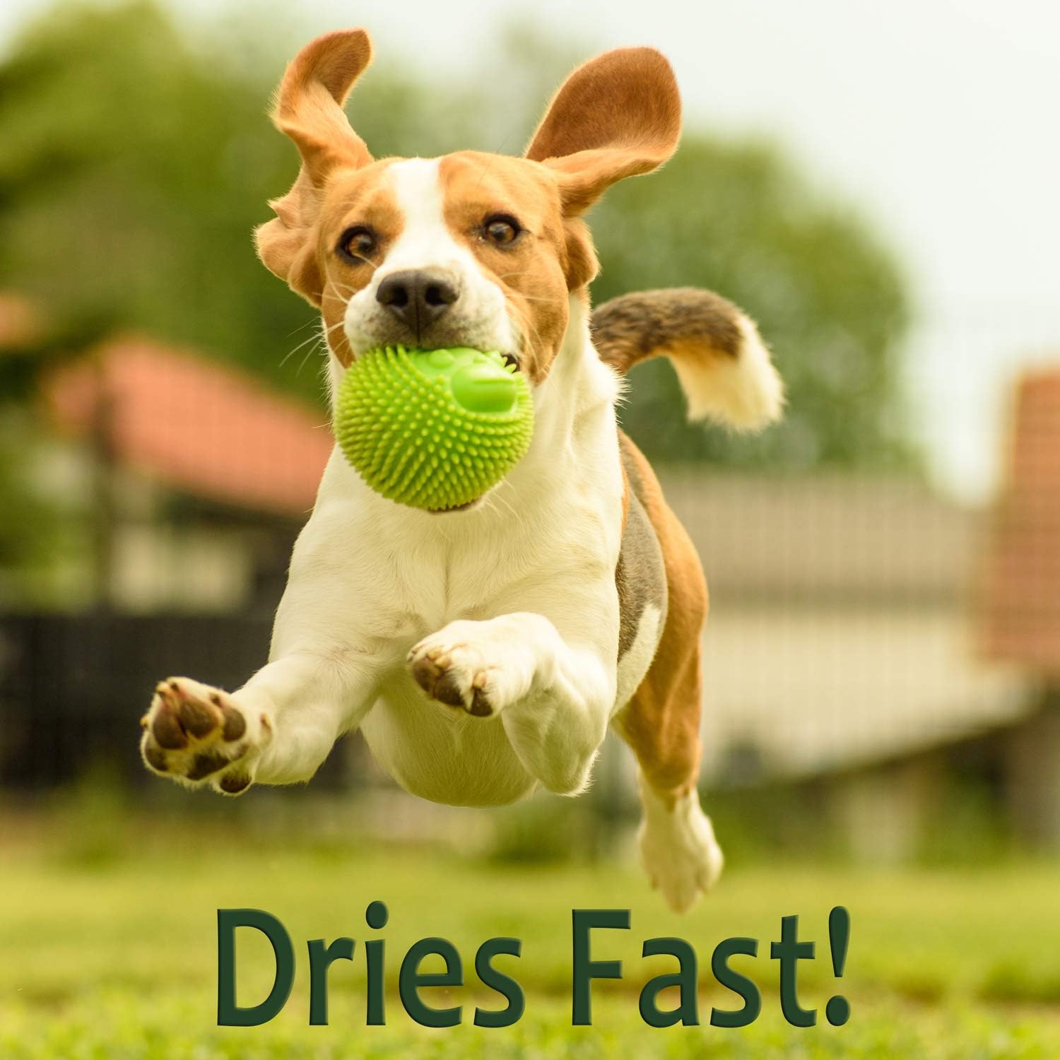 Just For Pets Weed Killer Spray (1-4 Gallon Case Refills) NO Glyphosate