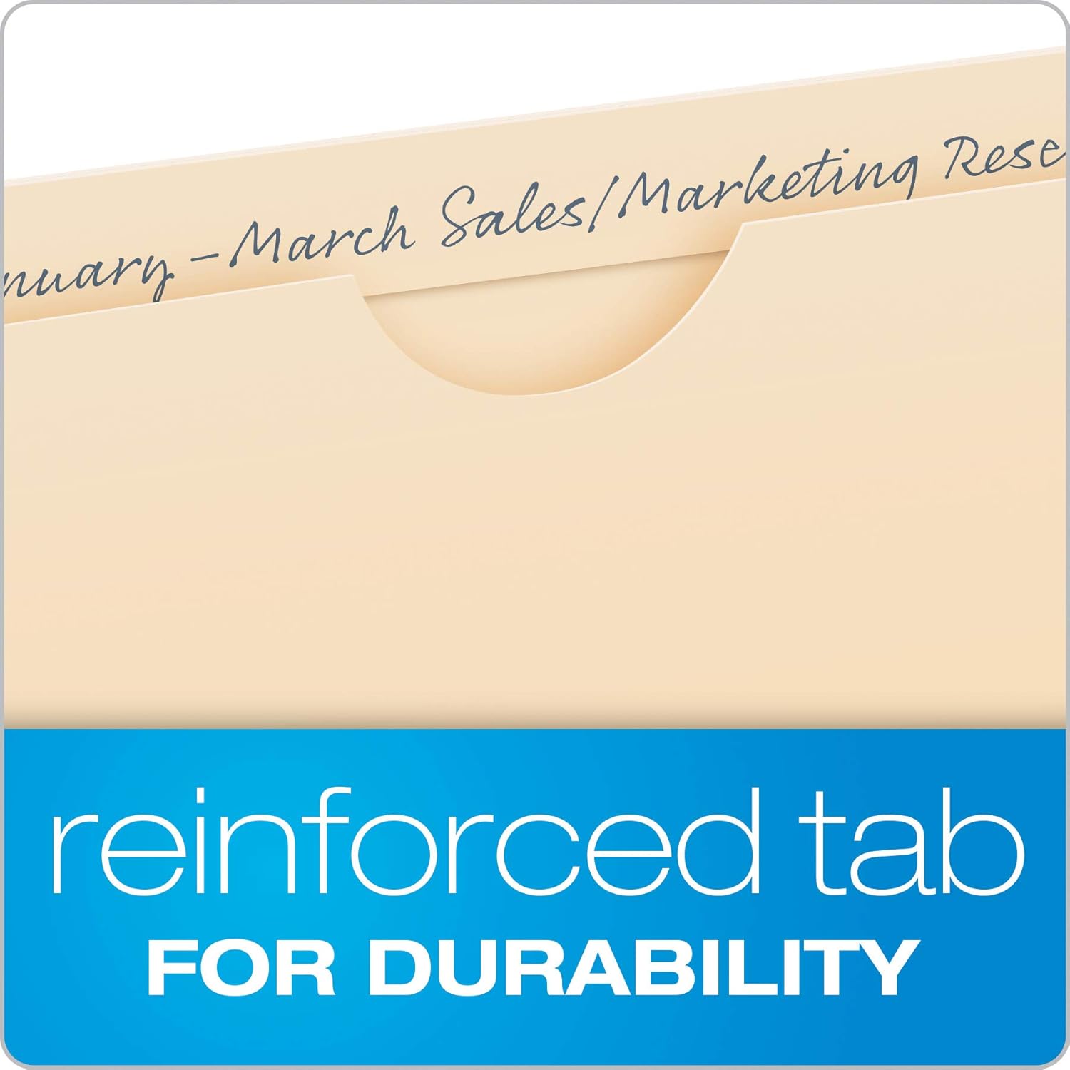 Pendaflex File Jackets, Flat, No Expansion, Manila, Letter Size, Straight Cut Tab, 100/Box (24990) : Office Products
