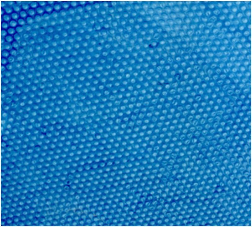 Round Solar Pool Cover, 21-Feet