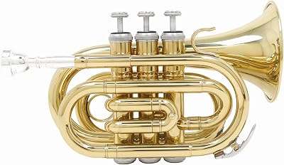 Professional EB Pocket Trumpet Pocket Cornet Woodwind Instrument Full Kit, Mini Trumpet, Finish Lacquer Musical Instrument in E Flat Pocket for Beginner/Students/Performance, Clear Sound