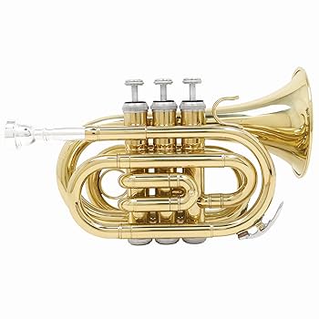 ポケットトランペットB♭管 ポケットトランペットB♭管 ポケットトランペット」の人気商品