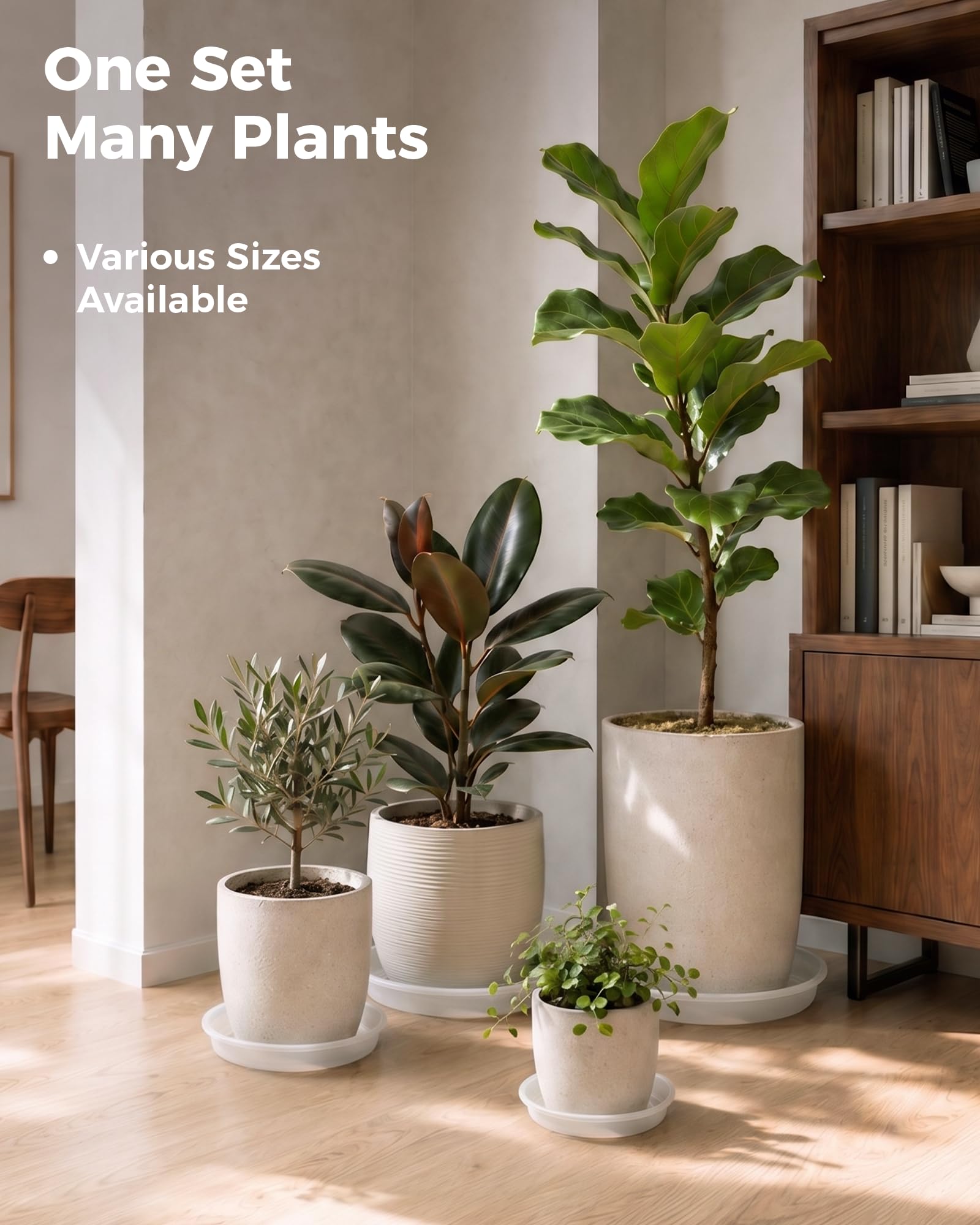 Bamworld soucoupes pour Plantes (15/20/25/30 cm) – Bacs d'égouttage en Plastique Transparent pour jardinières d'intérieur et d'extérieur (Transparent-6pcs)