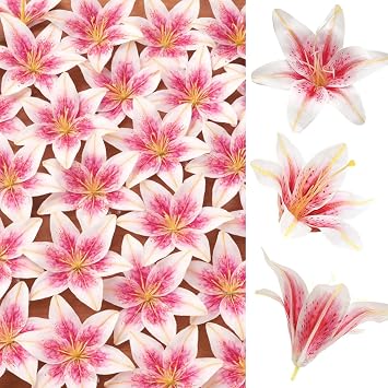 SNAIL GARDEN 24PCS 5.5" Large Fake Lilies Flower Heads with Realistic Stamens,24PCS Pink Artificial Flower Heads, Bulk Silk Flowers for Crafts, Cake Decorating, Wedding Party Wreath, Home Decor