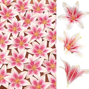 SNAIL GARDEN 24PCS 5.5" Large Fake Lilies Flower Heads with Realistic Stamens,24PCS Pink Artificial Flower Heads, Bulk Silk Flowers for Crafts, Cake Decorating, Wedding Party Wreath, Home Decor