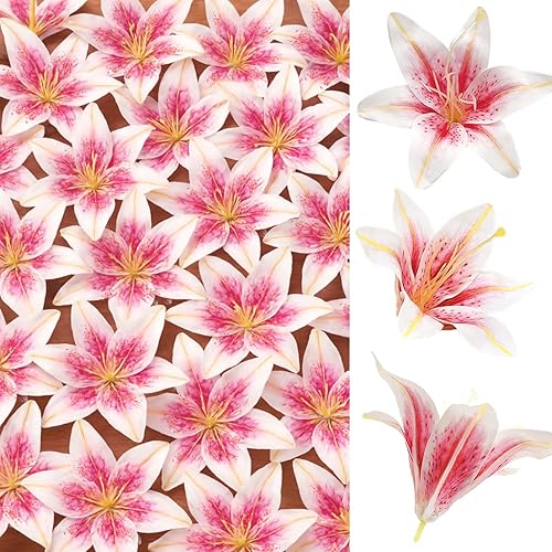 SNAIL GARDEN 24PCS 5.5" Large Fake Lilies Flower Heads with