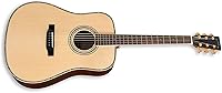 Vista 1 de Zager Guitarra eléctrica acústica ZAD900 acústica Pro Series - Abeto sólidopalisandro - Guitarras acústicas de primera calidad - Guitarra acústica