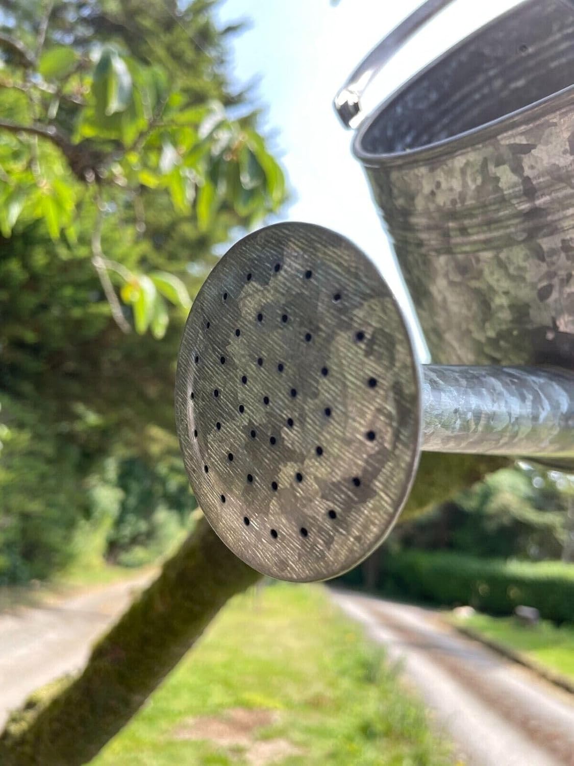 Galvanised Watering Can Hanging Wall Planter | Outdoor Garden Metal Steel Pot