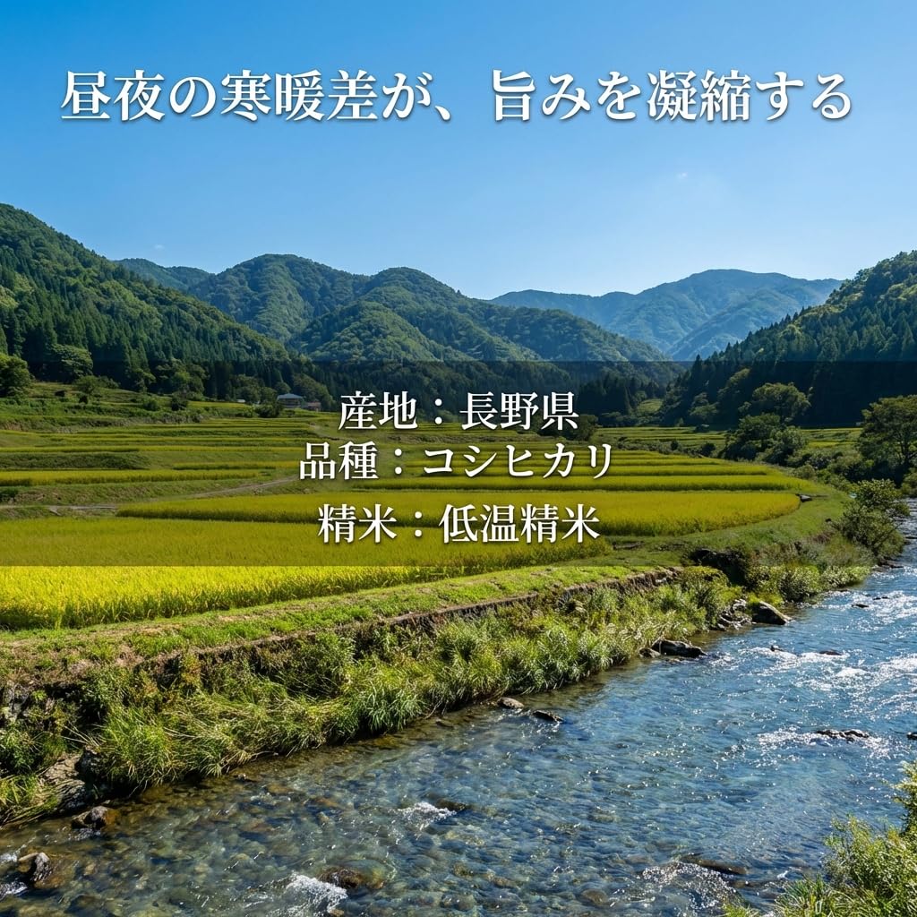 Amazon.co.jp: 野沢農産 精米 米 コシヒカリ 長野県産 令和7年産 10kg
