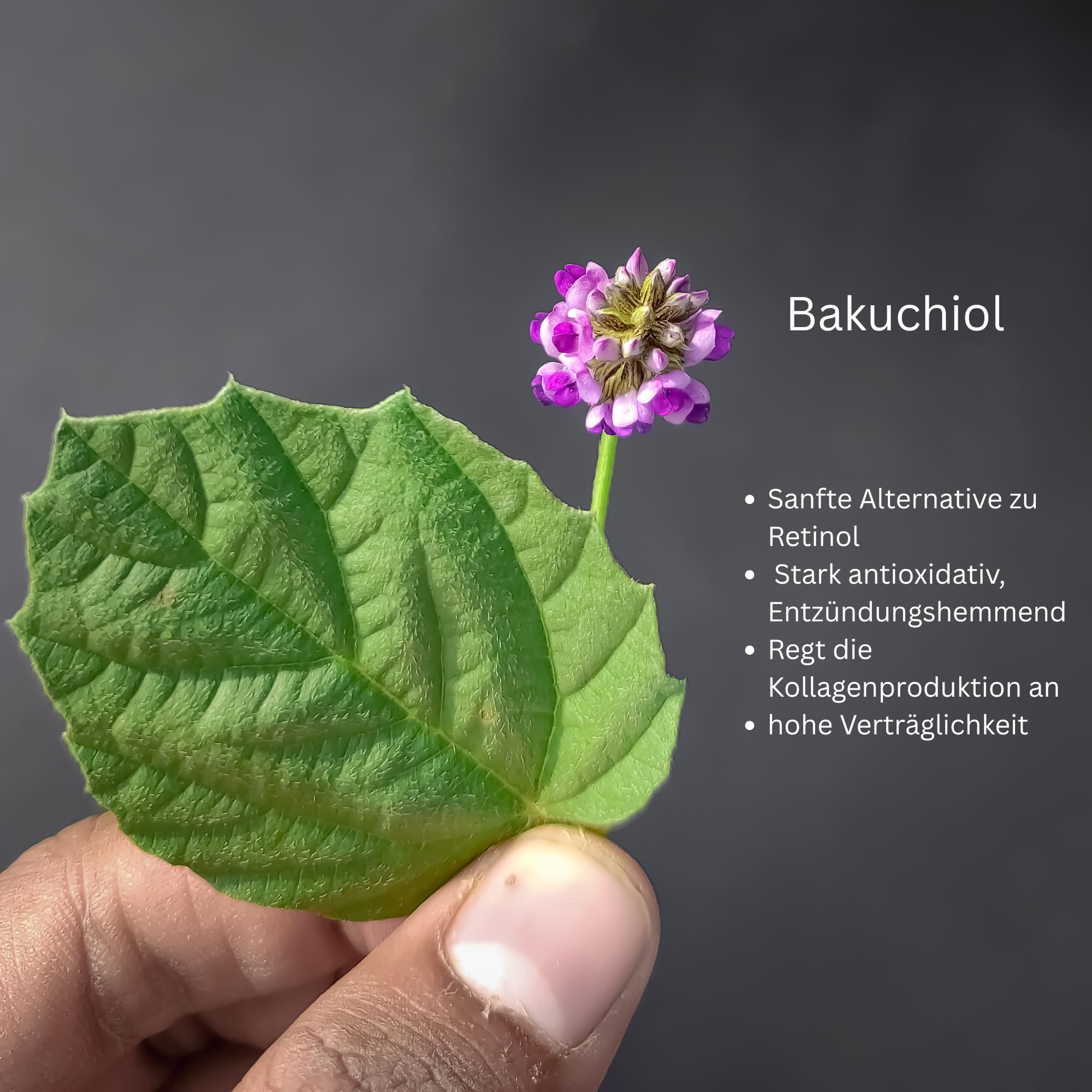 THE GLOW – Illuminating Cell Booster | Veganes Anti-Aging Serum mit Bakuchiol, Hyaluron & Peptiden | Gesichtspflege für strahlende, glatte Haut - Parfumfrei · Vegan · Made in Germany · Clean Beauty