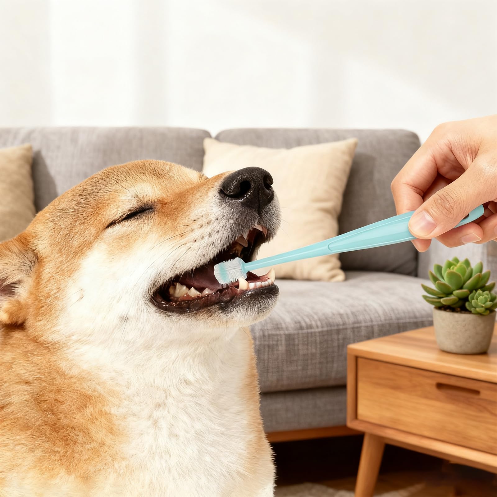 Juego de Cepillo de Dientes para Gatos – 3 Cepillos de Dientes + 2 Cepillos de 360 Grados, Silicona Suave, Reutilizable, para Perros y Gatos