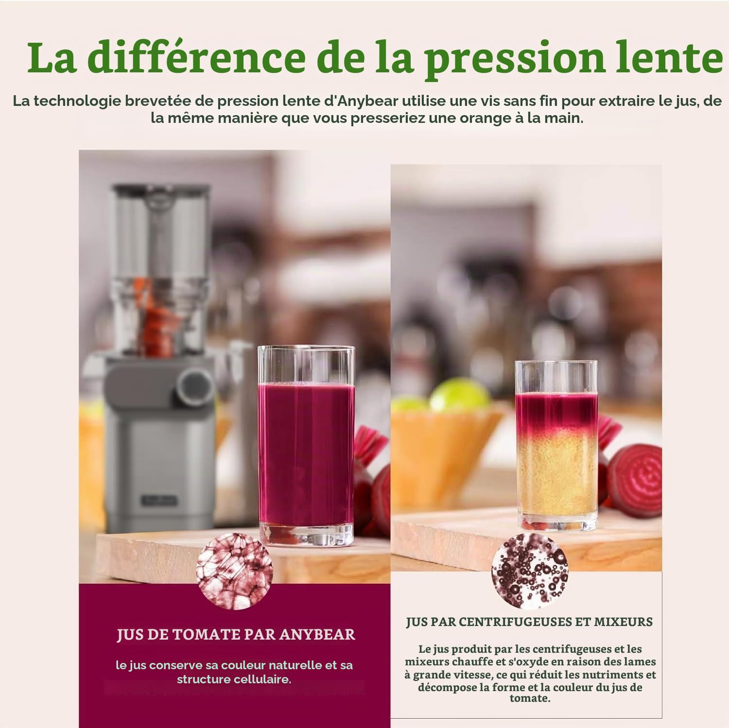 Anybear Extracteur de Jus à Froid, 200W Masticien Extracteur de Jus, 110cm Grande Gamelle pour Fruits et Légumes Entiers, Extracteur de jus Lent, Matériaux Tritan, Sans BPA (argent)
