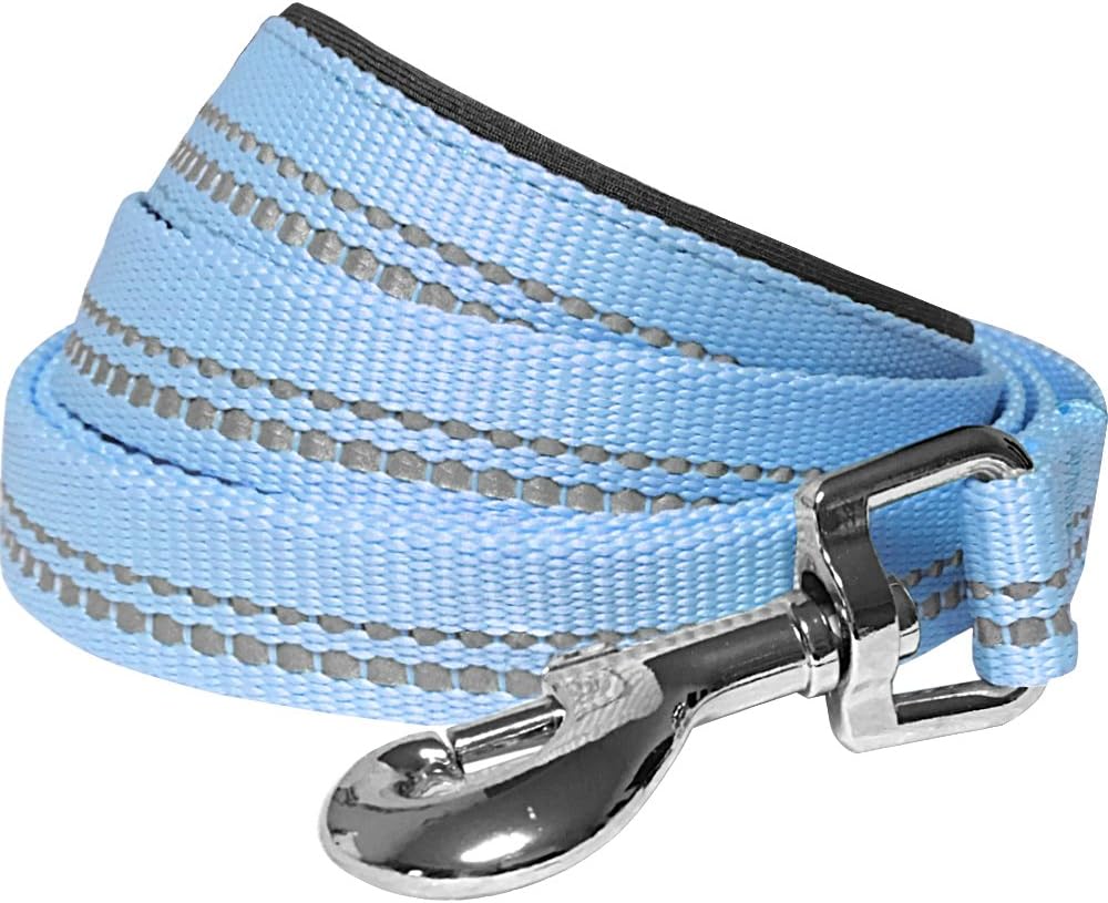 Blueberry Pet 3M Reflective Pastel Color Dog Lead with Soft & Comfortable Handle, 120 cm x 2.5cm, Baby Blue, Large, Leads for Dogs, Matching Collar & Harness Available Separately