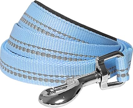 light blue dog leash