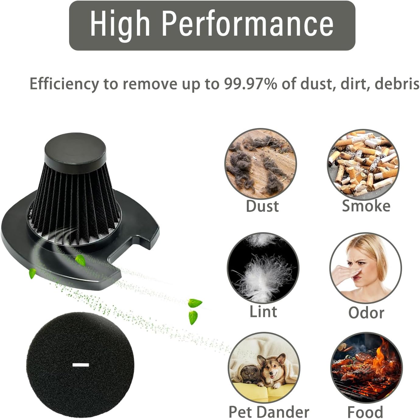 Image illustrating the high performance of the HEPA filter in capturing various particles like dust, smoke, lint, odor, pet dander, and food particles.