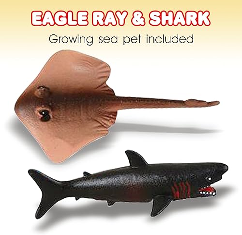 Miniatura 3 de ArtCreativity Animales marinos en crecimiento, 6 criaturas marinas que se expanden en el agua, crece 6 veces más grande, increíble juguete sensorial