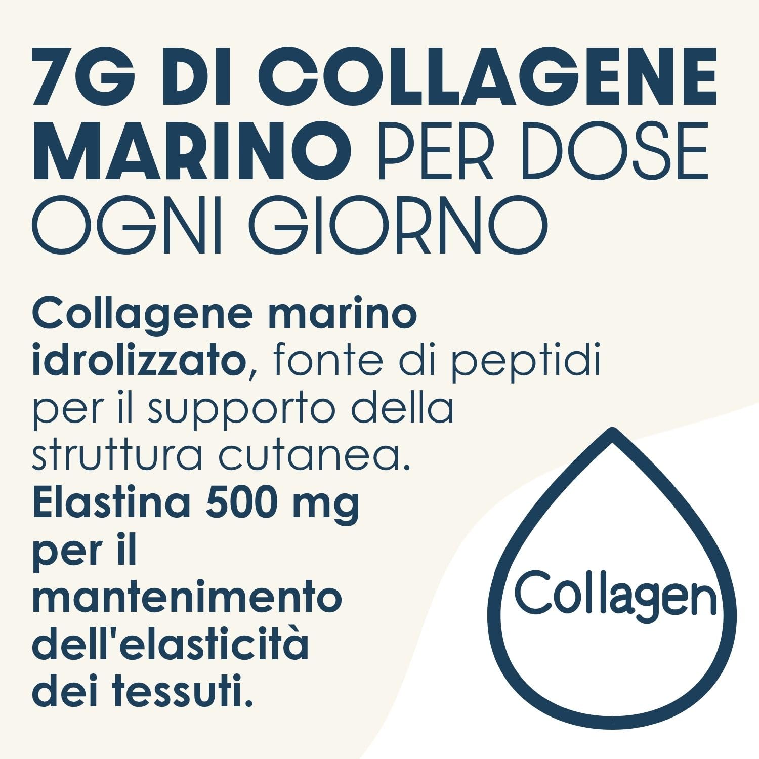 PURANOVA - Puracollagen 50+ | Collagene Marino Idrolizzato 7g con Elastina, Magnesio e Vitamina D |Collagene In Polvere Pelle Matura | Gusto Nocciola e Cioccolato