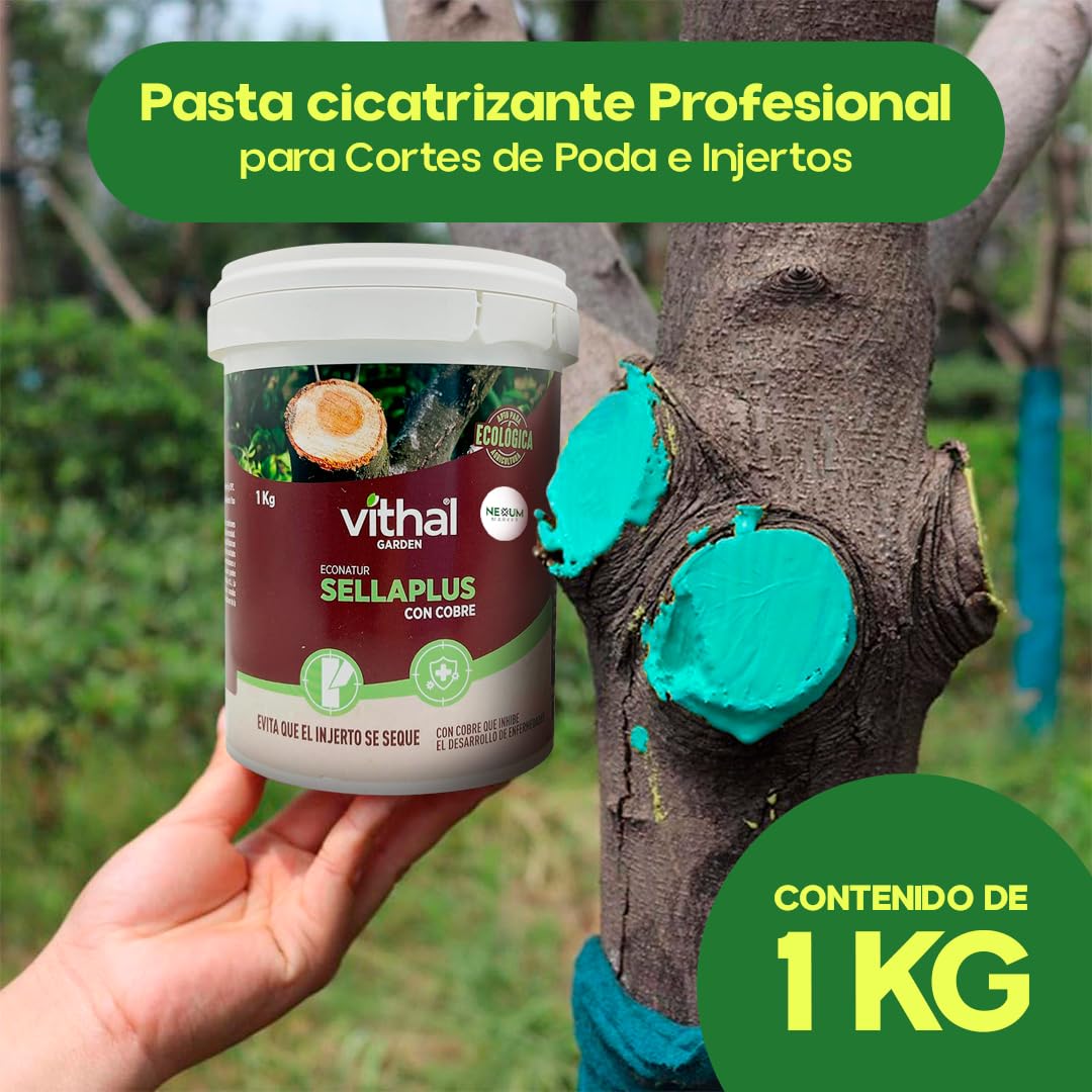 Pasta Cicatrizante Profesional 1 KG Ecológica | para Poda e Injertos | Eficaz Fijación Injertos, Cicatrización y Protección Heridas en Árboles, Frutales y Arbustos | Repara daños | SELLAPLUS