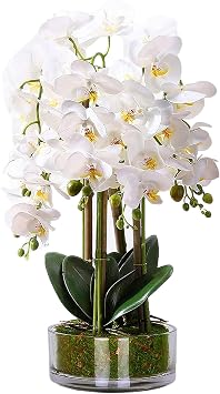 22.4" 57cm White Artificial Flowers Large Fake Orchids in Pot - Real Touch Tall Faux Flowers Phalaenopsis Orchid Plants Indoor Decorative Silk Flowers Arrangement for Living Room Home Table Decoration